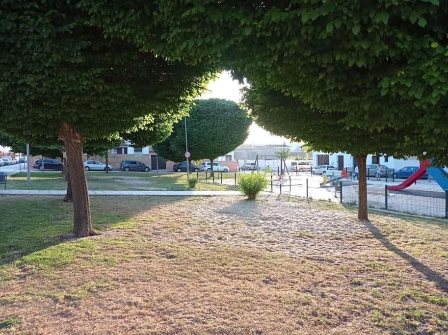 Acogedor Loft A 30 Minutos De La Playa Y Montana Apartman Lebrija Kültér fotó